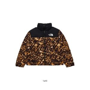 The North Face Mens Black and Brown Puffer Jacket